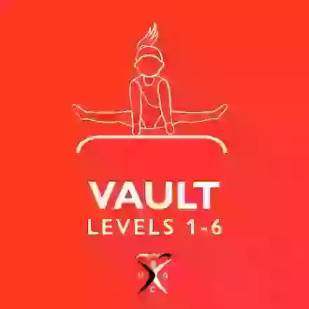 Vault Levels 1 - 6